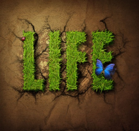 life-image life-image